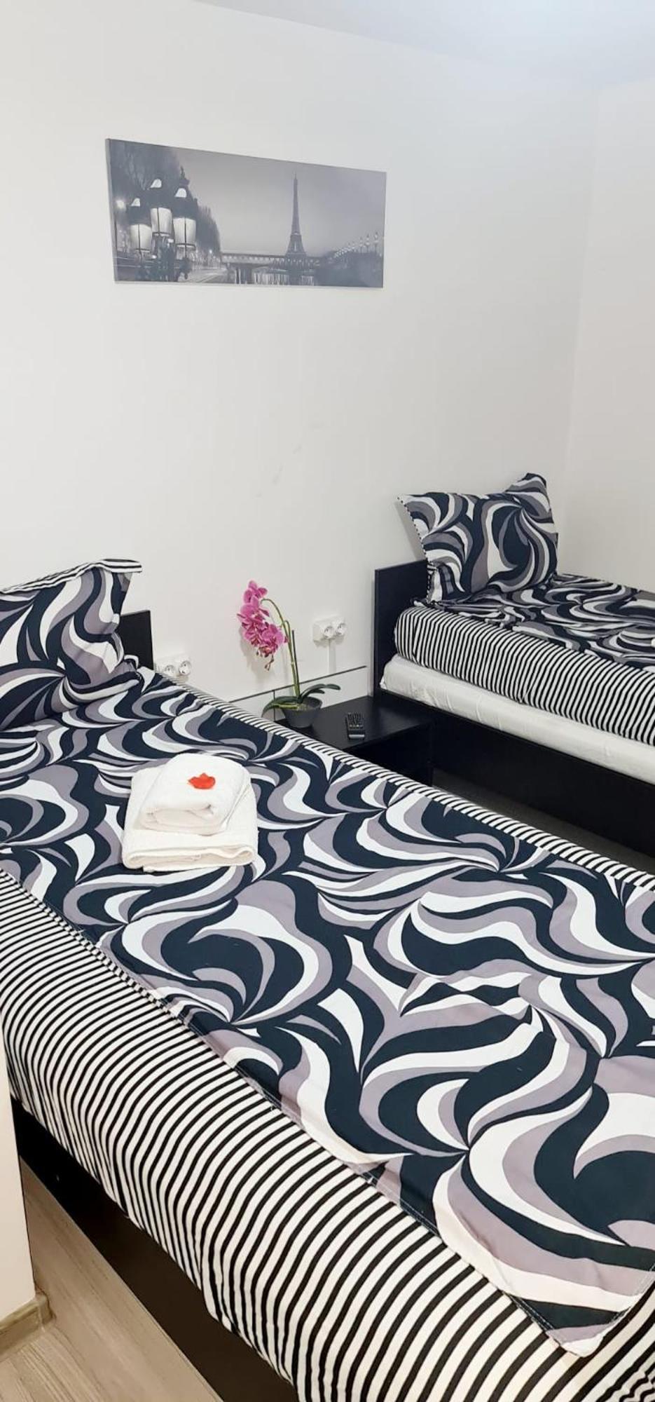 Pensiunea Red Rose Apartments Timisoara Exterior foto